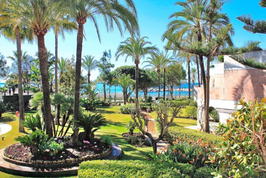*new Gray D Albion: Puerto Banus